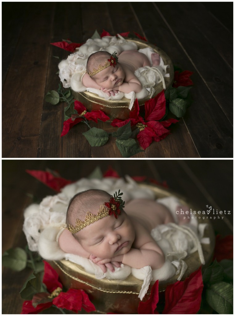 San Antonio, texas newborn portraits