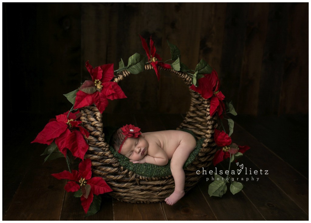 Stone Oak newborn photographer