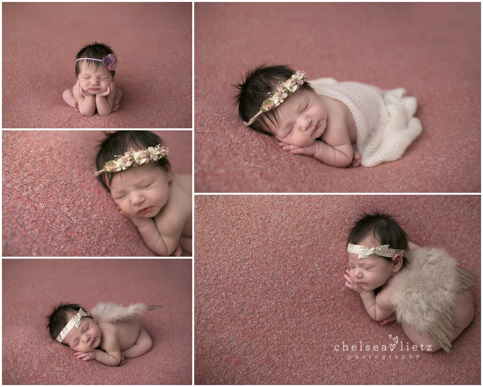 Chelsea Lietz Photography in Bulverde