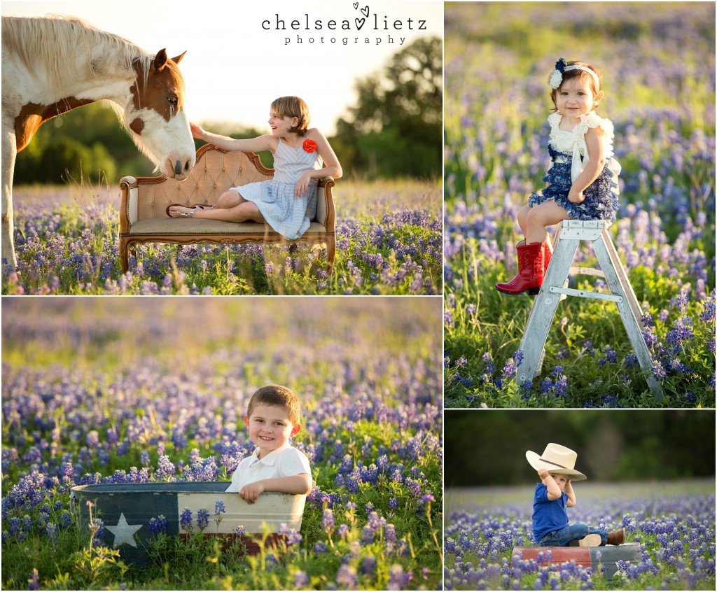 Texas bluebonnet photos | Chelsea Lietz Photography