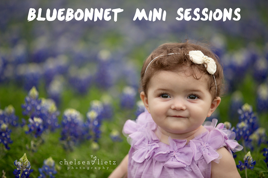 San Antonio photos of kids in Bluebonnets | Chelsea Lietz Photography