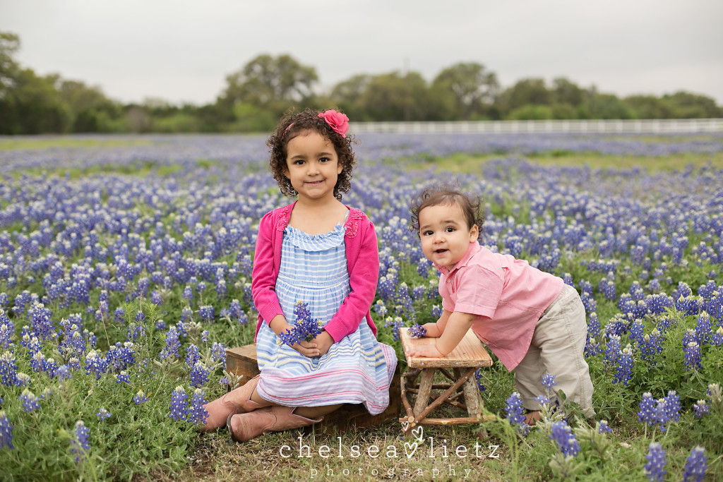 baby portraits in Bluebonnets | Chelsea Lietz Photography