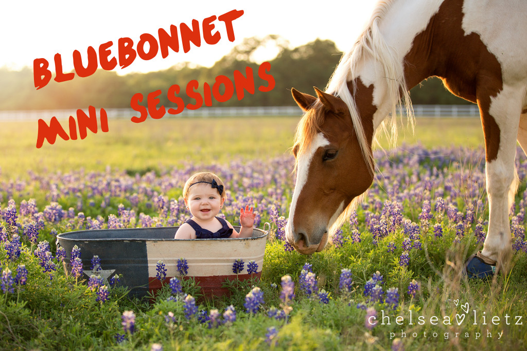 baby photos in Bluebonnets in San Antonio | Chelsea Lietz Photography