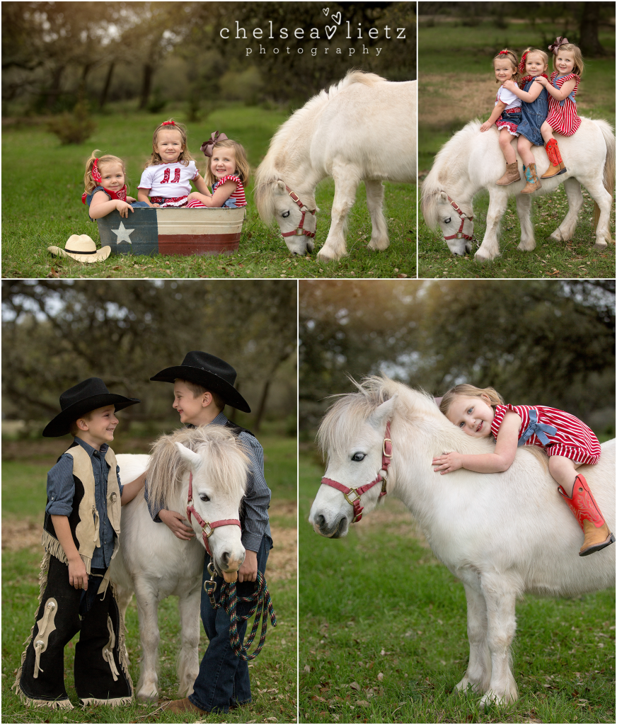 san antonio area unicorn and pony photos