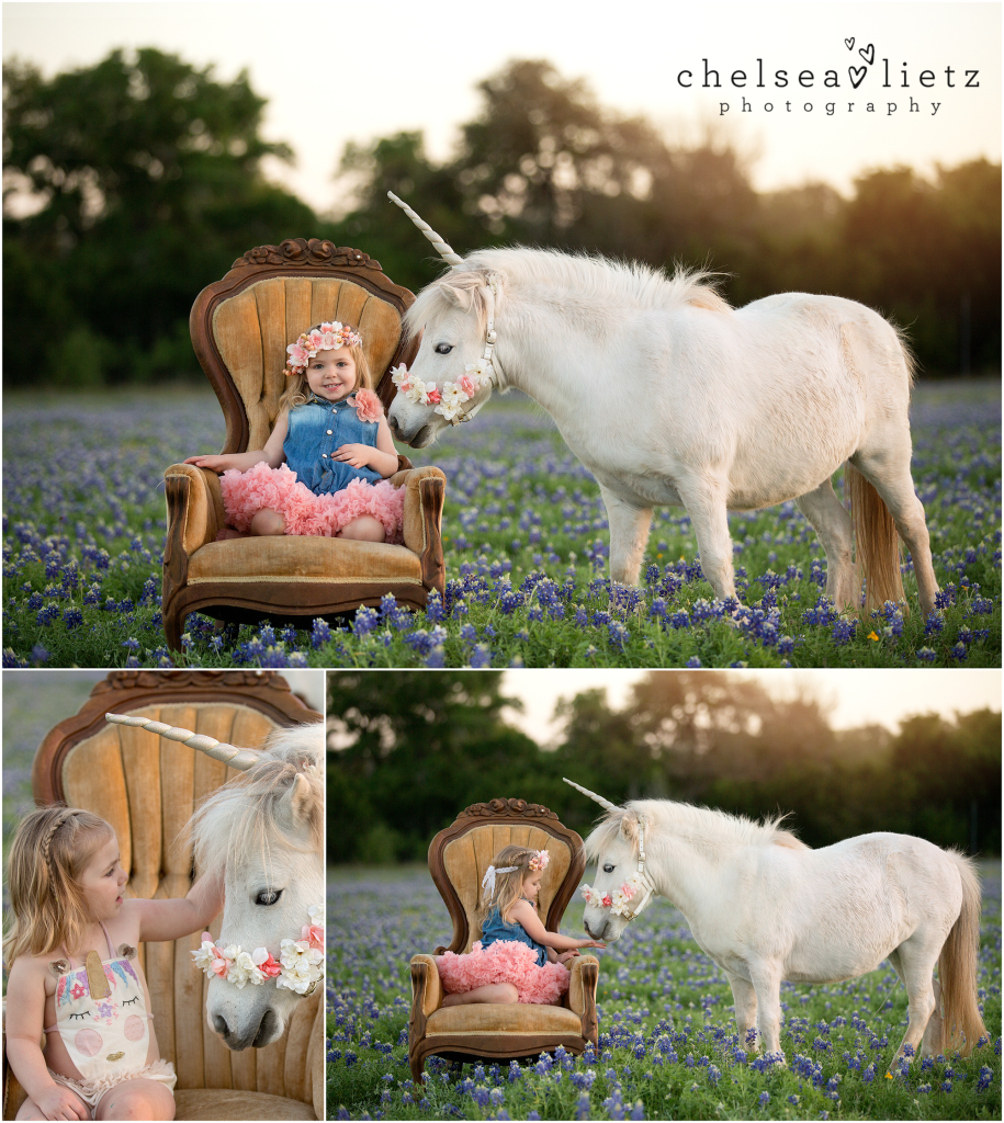 stone oak child photographer | chelsea lietz photography