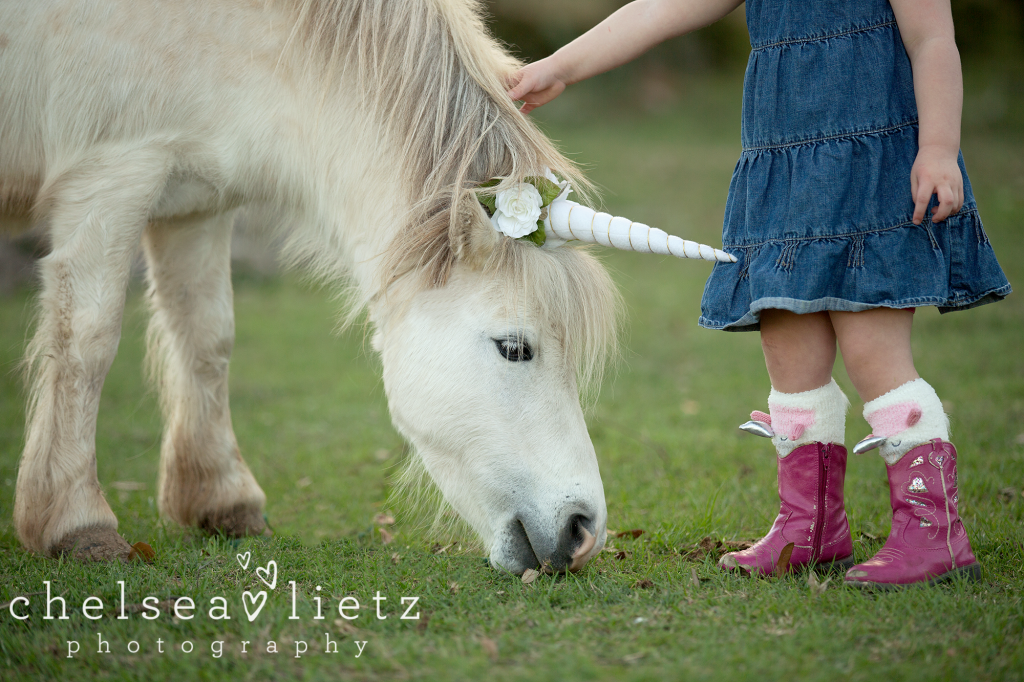 newborn photographer in San Antonio