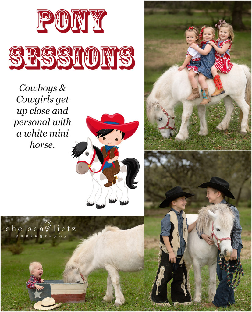 pony portraits for kids | Chelsea Lietz Photography