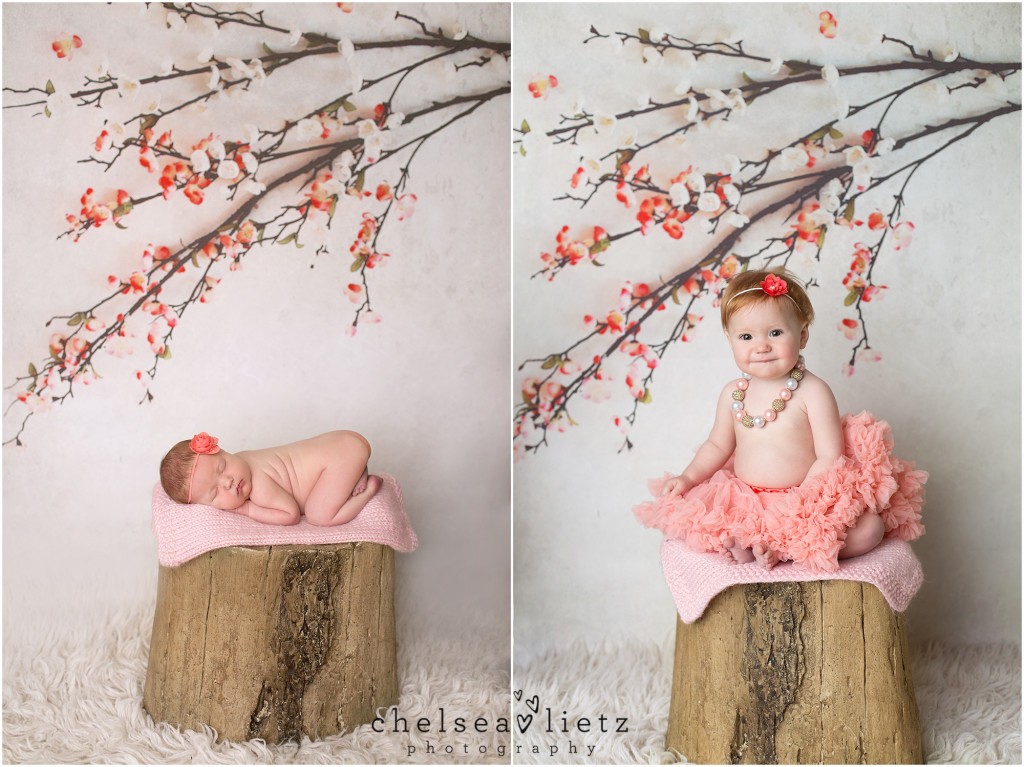 Stone Oak baby photographer