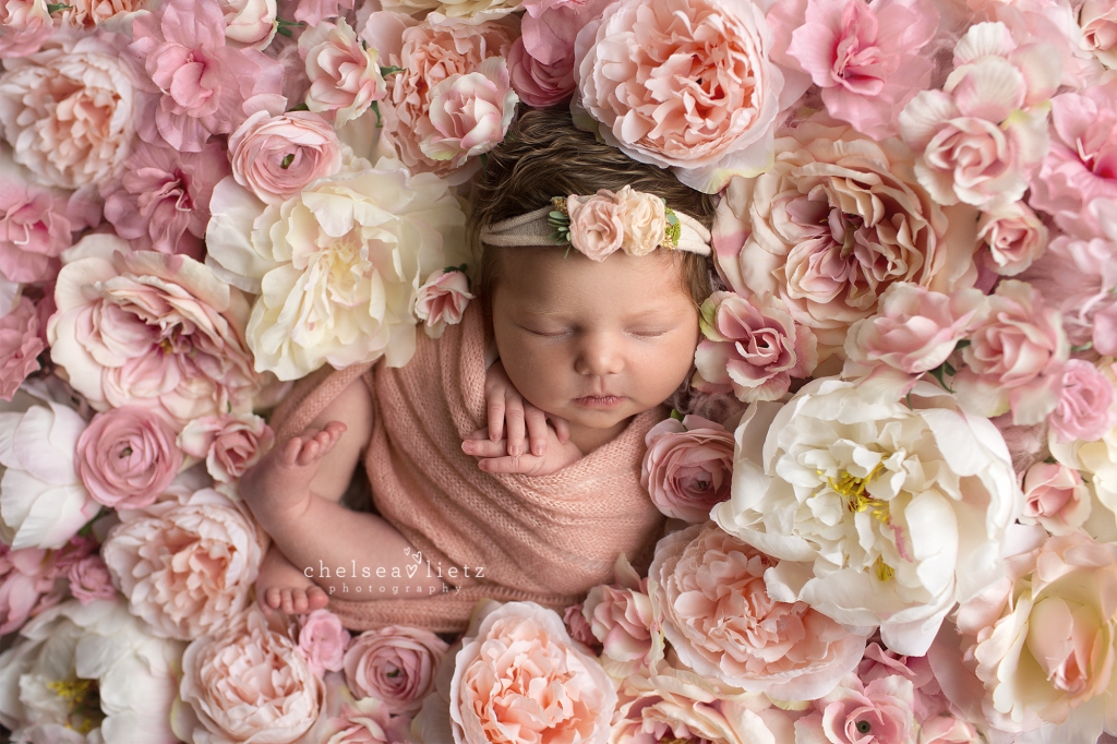 san antonio photographer for newborn babies