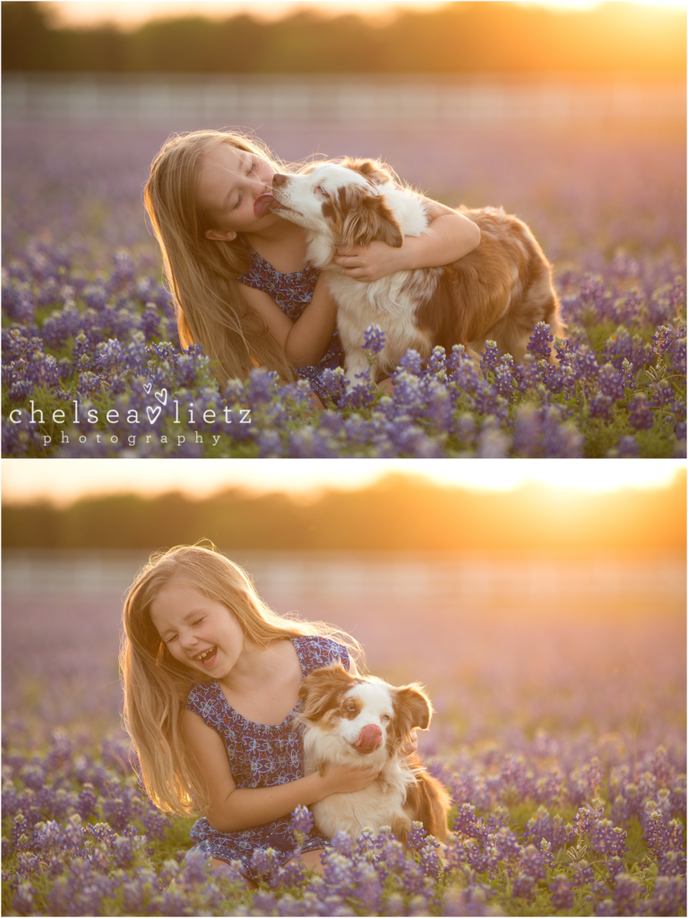 bluebonnet photos in san antonio