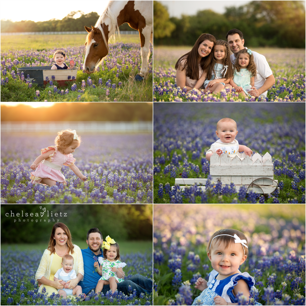 bluebonnet photos in San Antonio