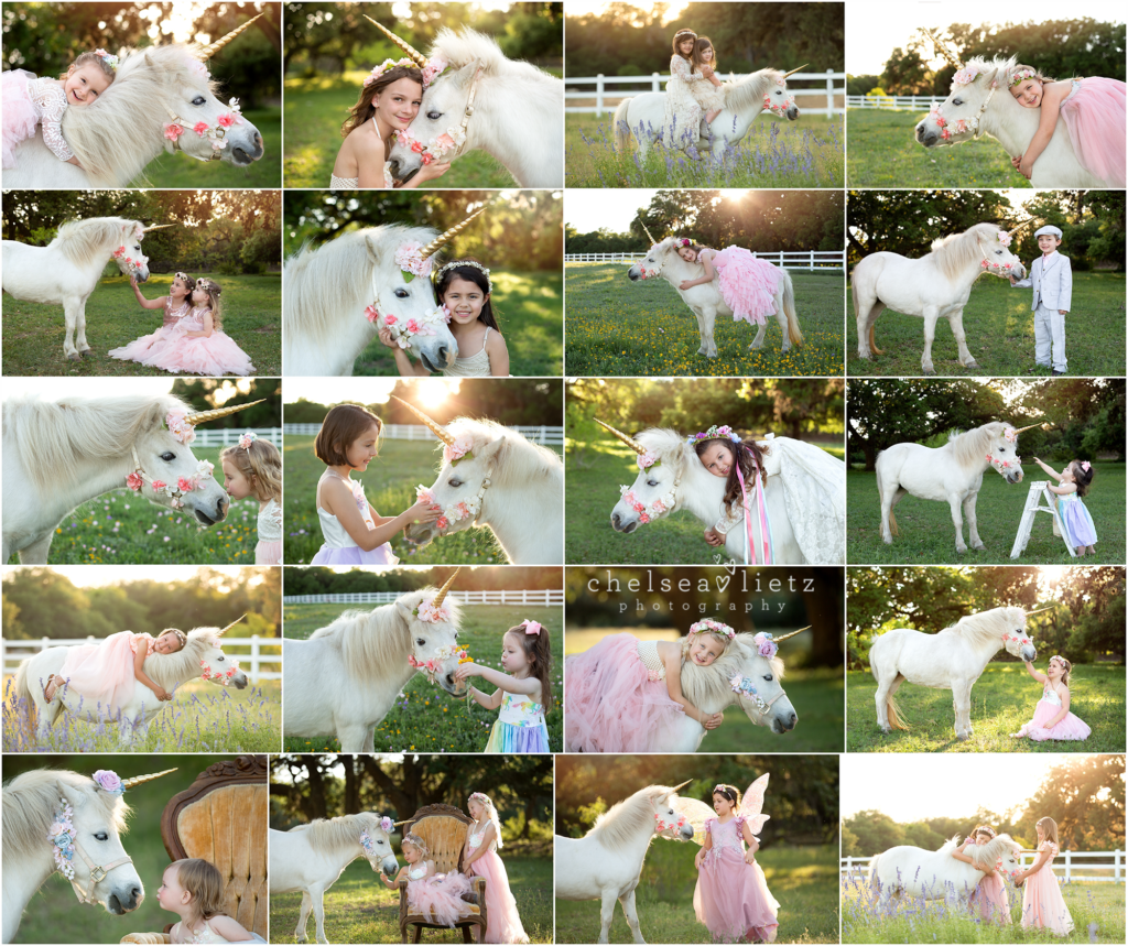 Unicorn photos with pony | Chelsea Lietz Photography