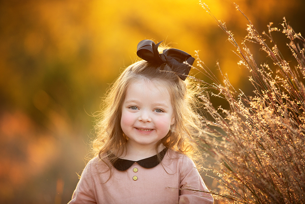 Fall & Holiday Mini Sessions 2020 | Chelsea Lietz Photography