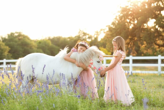 San Antonio Texas Child photographer unicorn mini session