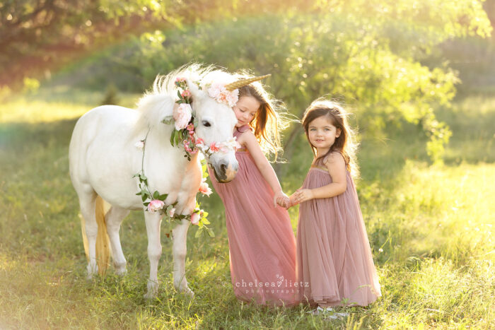 Unicorn Portraits in San Antonio