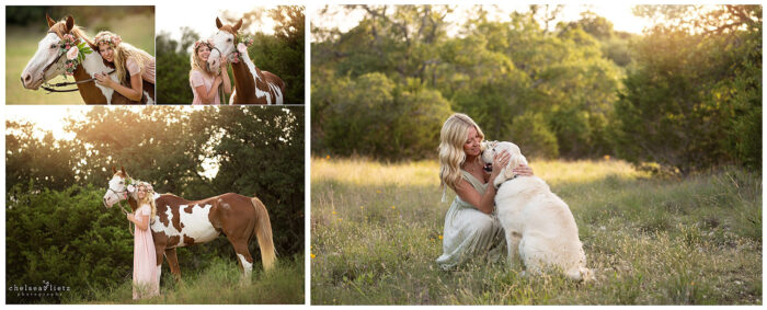 san antonio senior photos pets dog horse