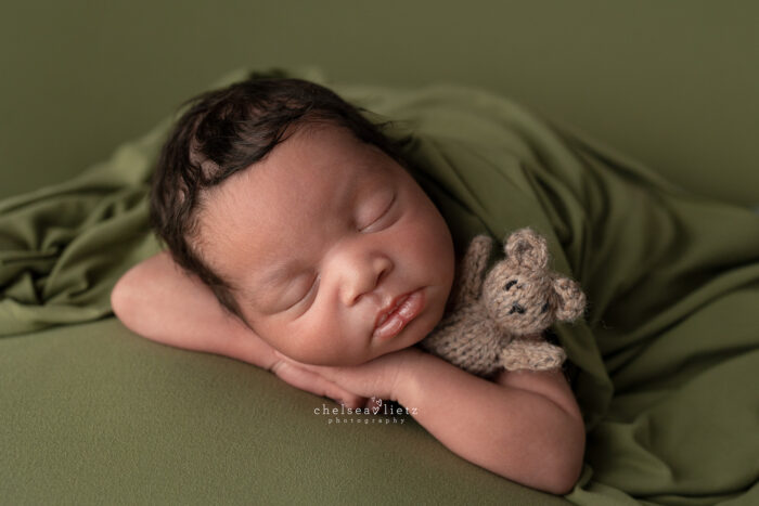newborn photos bulverde texas bear